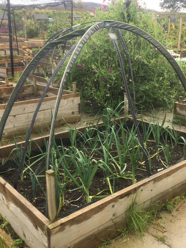 Badenoch and Strathspey Therapy Gardens